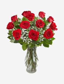 ¡2X1 HOY! Arreglo de 24 Rosas Rojas – Pasión Clásica