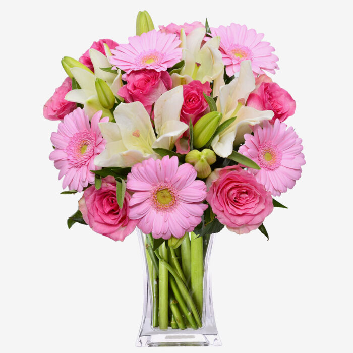 24