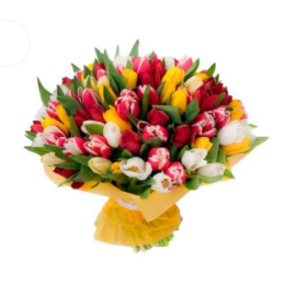 Ramo de 10 Tulipanes Premium