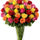 Arreglo de Rosas Multicolor