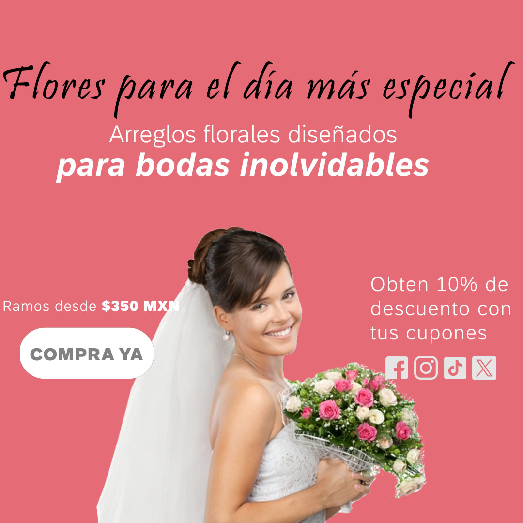 Carrusel boda movil