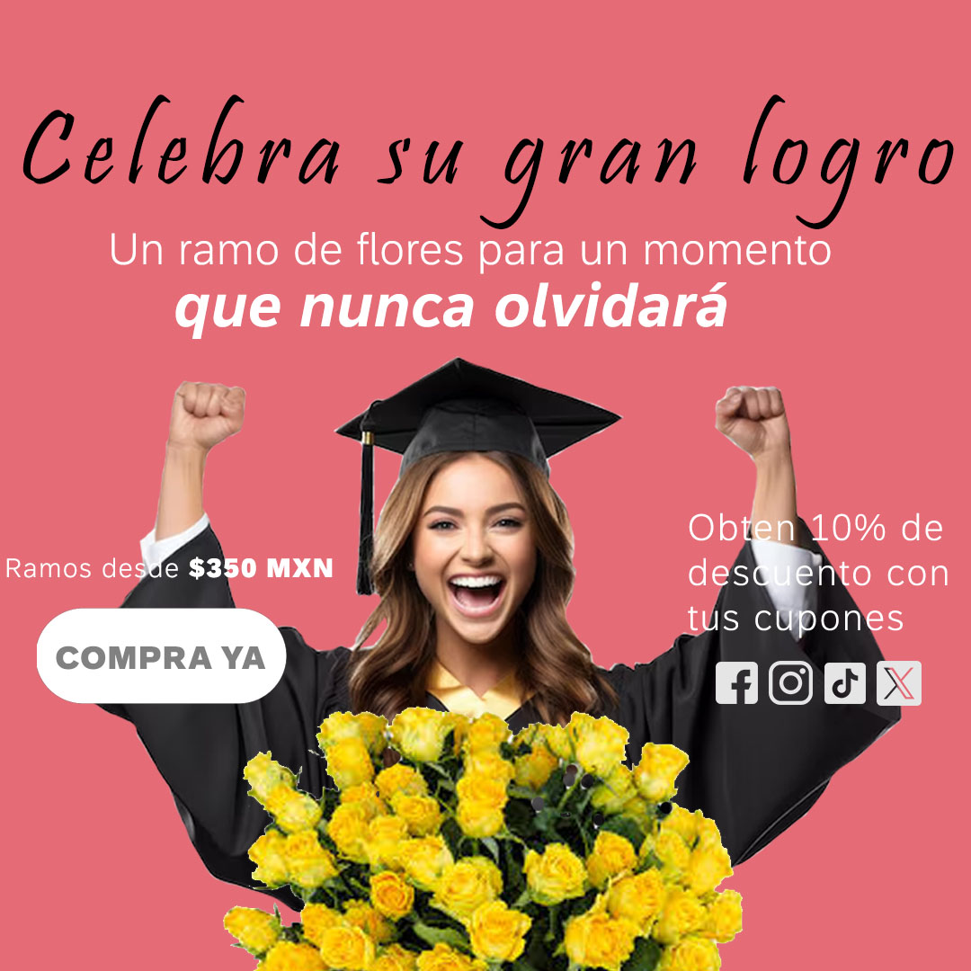 Carrusel graduacion movil