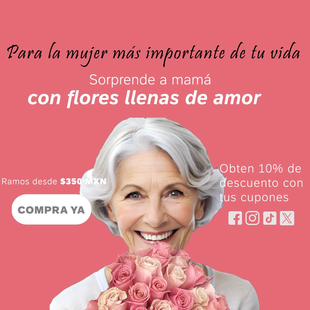 Carrusel-para-movil-mama
