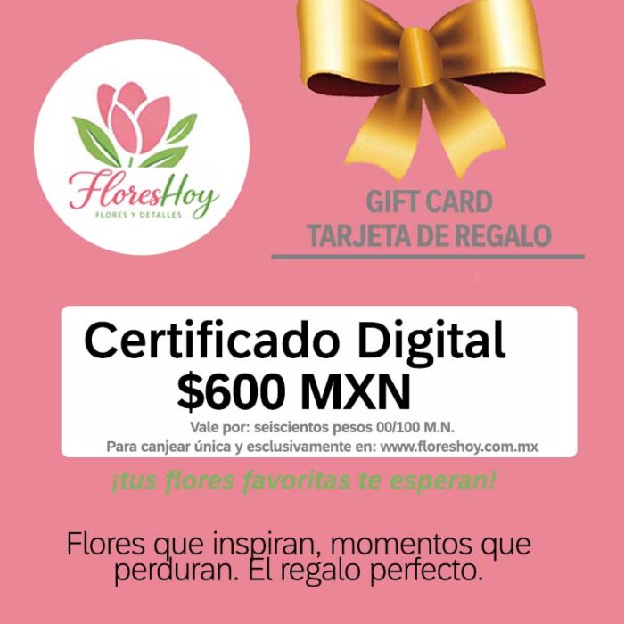 gift card 600